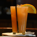 The Dingo is March 30th Drink of the Day!!